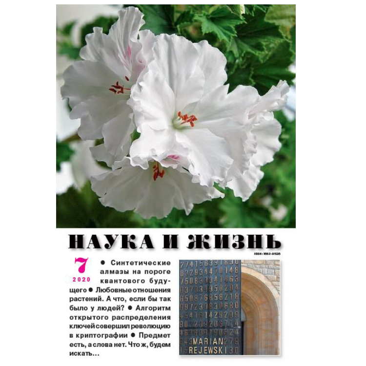На композитных крыльях